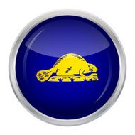 Flag of Oregon - reverse N4