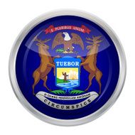 Flag of Michigan N6