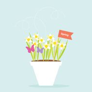 Spring Daffodils Flower Pot