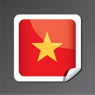 Vietnam Flag Icon N6