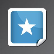 Somalia Flag Icon N6