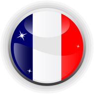 France Flag Icon N5