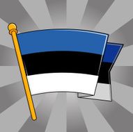 Flag of Estonia N25