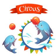 Circus banner with clever dolphin Vector illustration N2