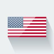 Flag of the USA N31