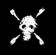 Skull and Crossbones for Pirate Flags Poison Danger etc N2