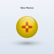 State of New Mexico Flag N3