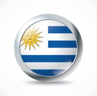 Uruguay Flag button N3
