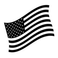 American Flag N198