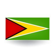 Flag of Guyana N12