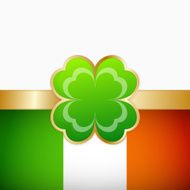 Irish Flag N21