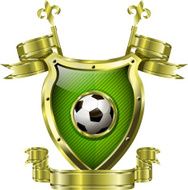 Soccer N29