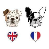 Vector sketch of bulldog&#039;s faces
