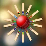 Cricket bat of different participating countries N6