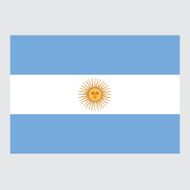 National Flag of Argentina N2