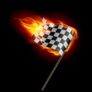 Burning the flag