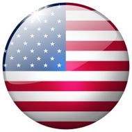 USA Round Glass Button