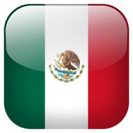 Mexico national flag square button isolated on white background