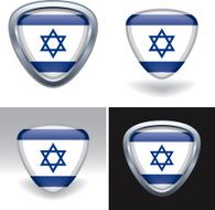 Israeli Flag Crest