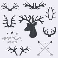 Deer horns set Vector illustration
