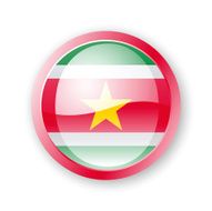 Suriname Flag Icon N4