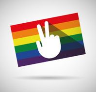 Gay Pride Flag N3
