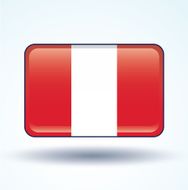 Flag of Peru vector illustration N9