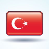 Flag of Turkey vector illustration N10