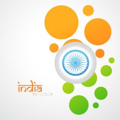 creative indian flag N16