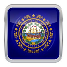 Flag of New Hampshire N5