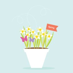 Spring Daffodils Flower Pot