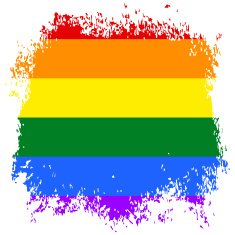 Gay and LGBT rainbow flag Handmade Textured N13