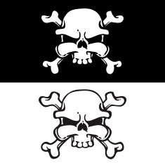skull and crossbones N15