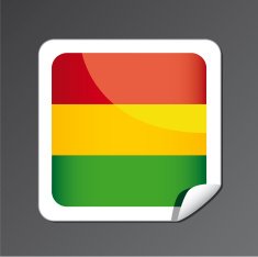 Bolivian flag button