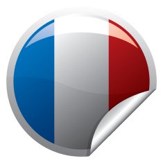 French Flag Sticker N2