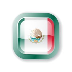 Mexico Flag Icon N4
