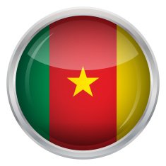 Glossy Button - Flag of Cameroon N4