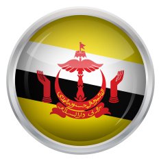 Glossy Button - Flag of Brunei N4
