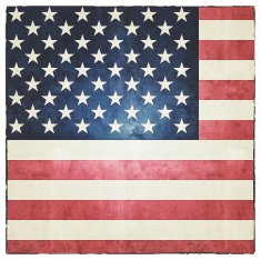 grunge US Flag N3