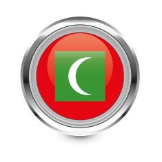 Maldives Flag Icon N6