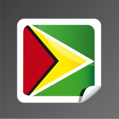 Guyana flag icon N3