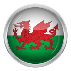 Glossy Button - Flag of Wales N4