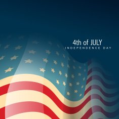 vector america flag N2