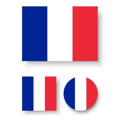 France Flag N25