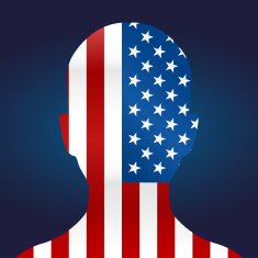 Head with USA flag N2
