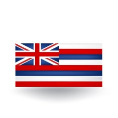 Hawaii State Flag N12