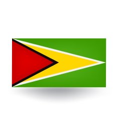 Flag of Guyana N12