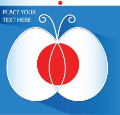Flag of Japan N31