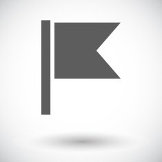Flag single flat icon N5