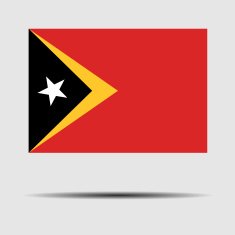 Flag of Timor Leste N3